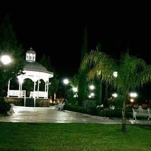 Meet your Posher, Marta